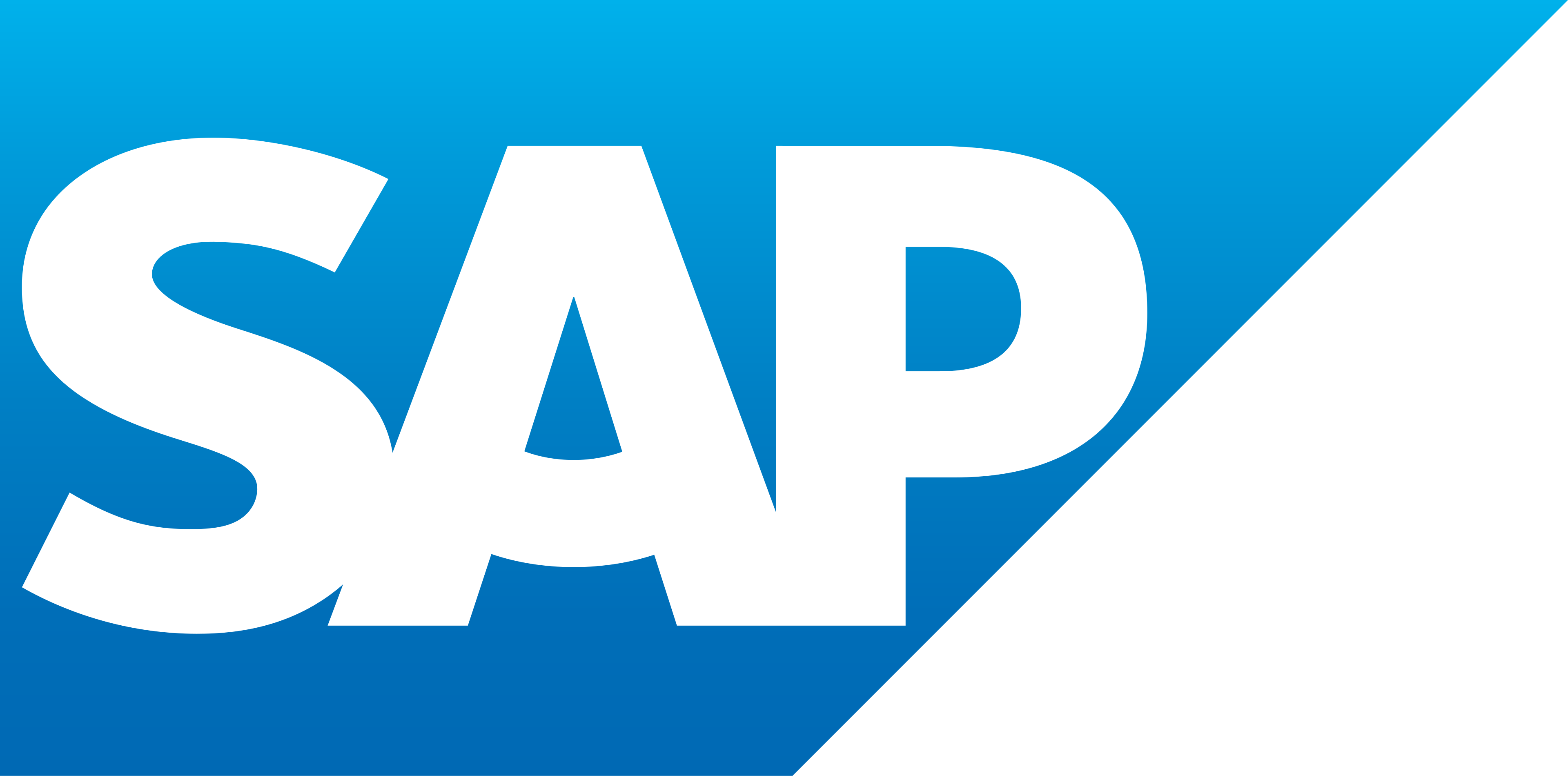 Strukturierter Lebenslauf fuer SAP Jobs und Softwareentwickler Karrieren