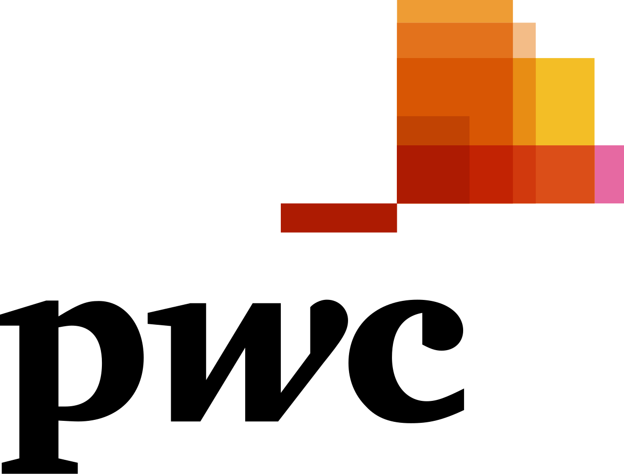 PwC CV template example PwC careers finance consulting jobs professional CV